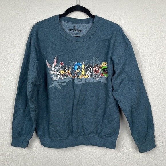 Vintage Six Flags Looney Tunes Sweatshirt Comfy Soft Gray Sz M - Picture 1 of 8